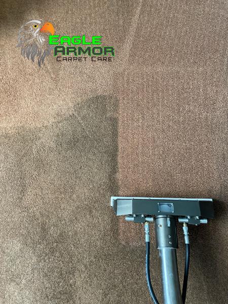 Eagle Armor Carpet Care