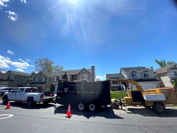 Jeppson Brothers Tree Removal LLC