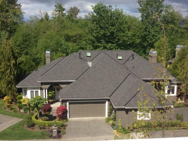 Axis Roof and Gutter