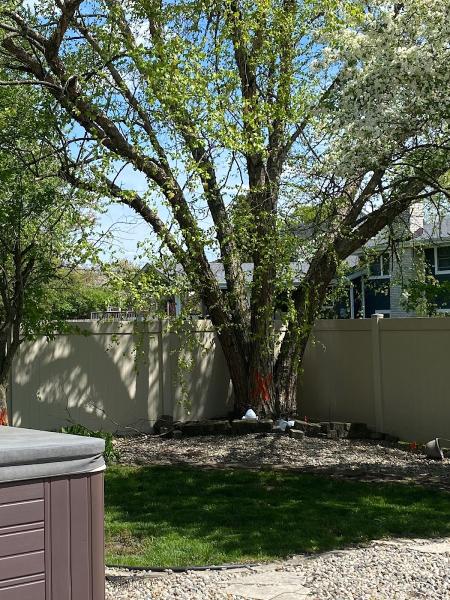 Priced Rite Tree Service