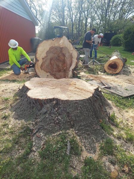 Priced Rite Tree Service