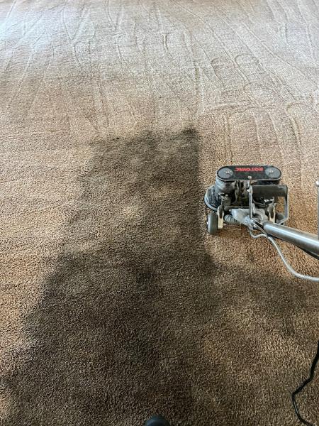 Same Day Carpet Cleaning