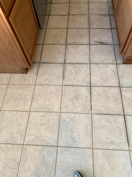 Same Day Carpet Cleaning