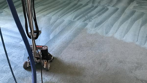 Same Day Carpet Cleaning