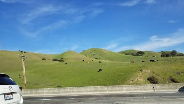 Mission Creek by the Mission Peak Co.