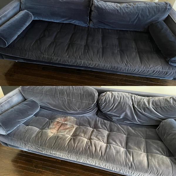 I-Steamers Carpet & Upholstery Cleaning