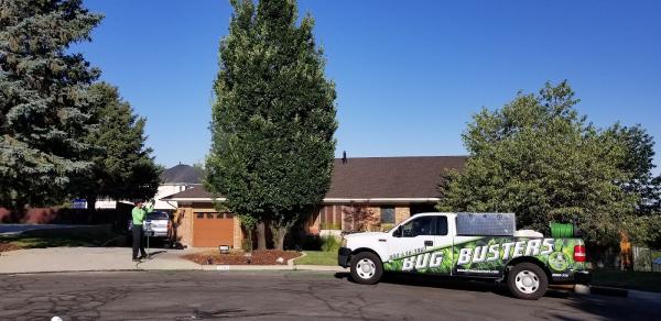 Tree Pro-Tech