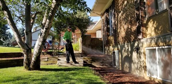 Tree Pro-Tech