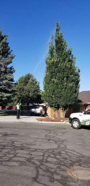 Tree Pro-Tech