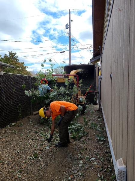 Wright's Logging and Tree Service