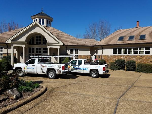 Central Termite and Pest Control