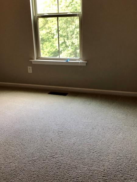 Dry Green Carpet Cleaning