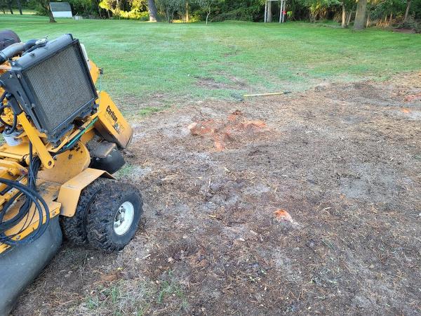 ISA Stump Grinding