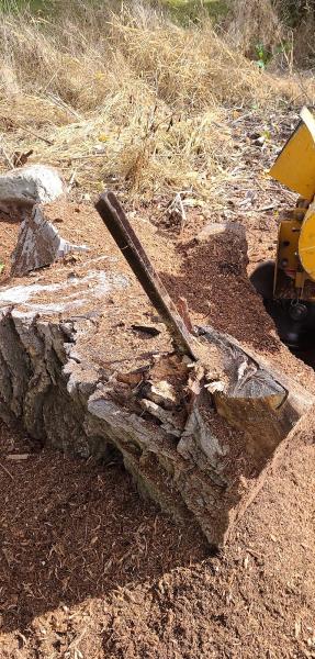 ISA Stump Grinding