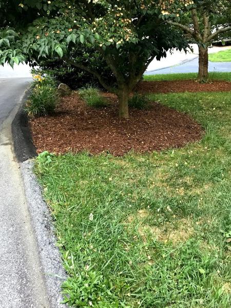 Bernardos Landscaping
