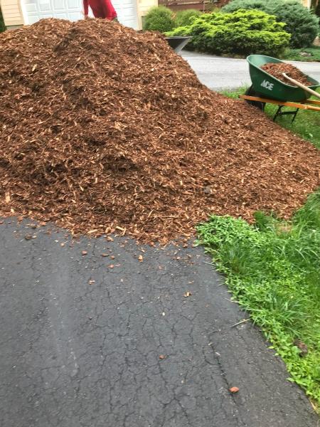 Bernardos Landscaping