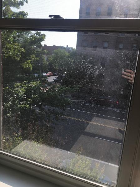 Window Washers Etc