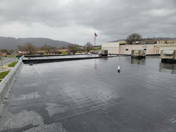 Guardian Roofing
