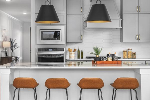 Greentech Homes