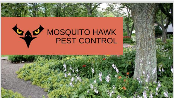 Mosquito Hawk Services