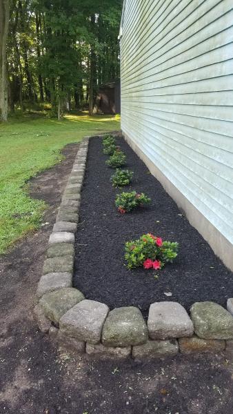 Solares Landscaping