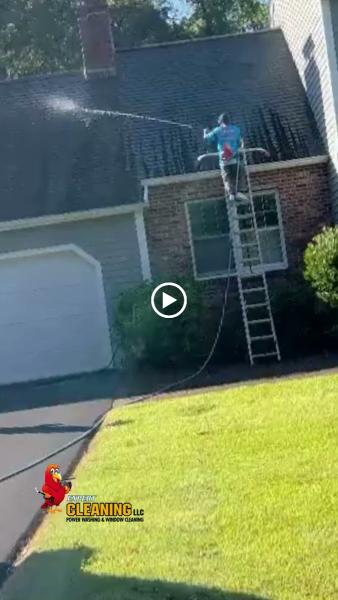 Expert Cleaning
