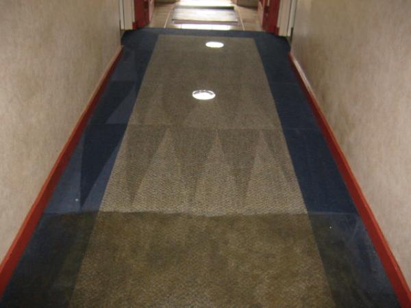 All American Carpet Cleaning