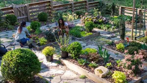 Barefoot Garden Design