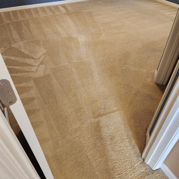 Premier Carpet Care