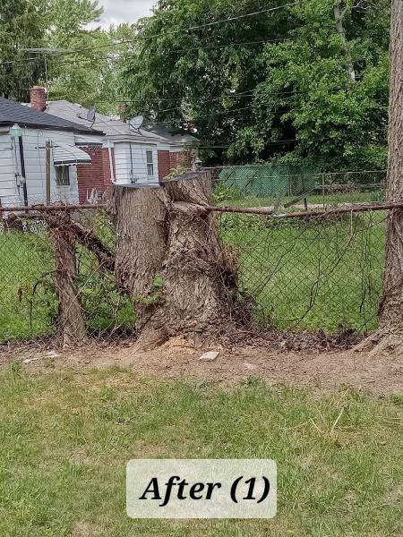J-Mac Tree & Debris