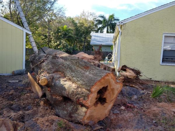 Reliable Tree & Lawn Service LLC