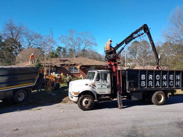 Broken Branch Tree Service