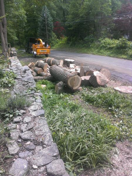 Acer Tree Service LLC