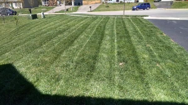Roanoke Lawn Rescue