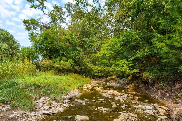 Timberstone Ridge