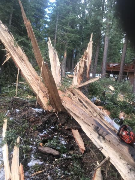 Defender Tree Service