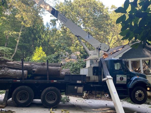 Jones Tree Service