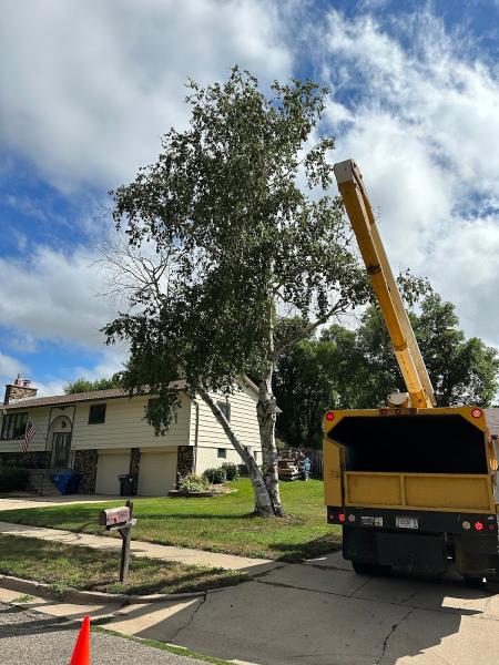 Arbortech Tree Service