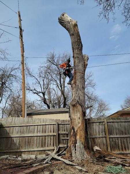 Kohnen's Tree Service LLC