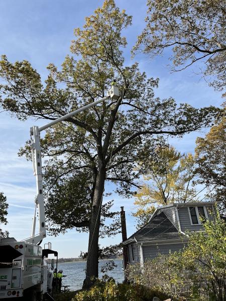 Courtney and Hawkins Tree Service LLC