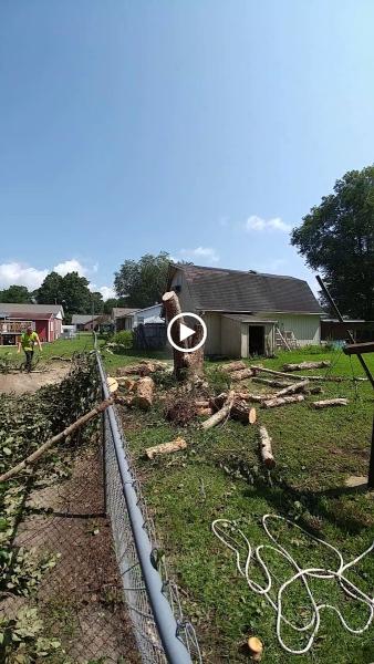 Styron's Tree Service