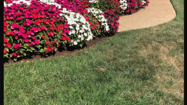 A&H Lawn Care and Landscaping