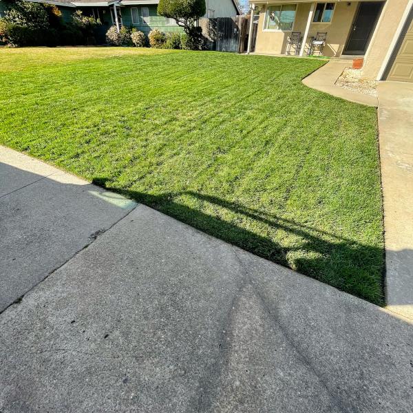 E&E Lawn Care