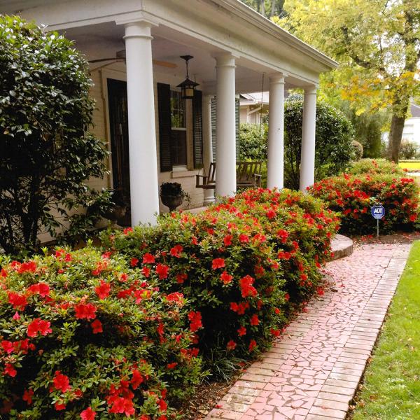 Lawhon Landscape Design