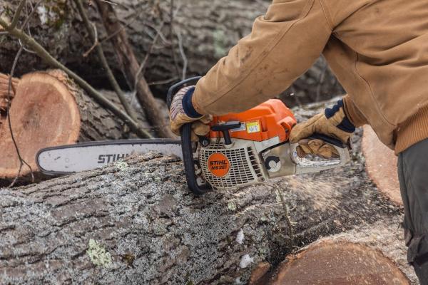 Teacher's Tree Service