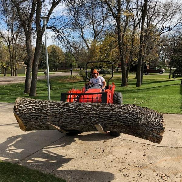 Tyler's Tree Service