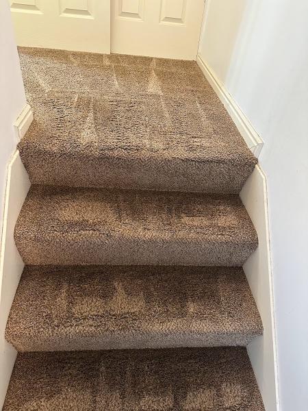 Clean Green Carpet Cleaning