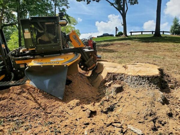 Jenkins Stump Removal