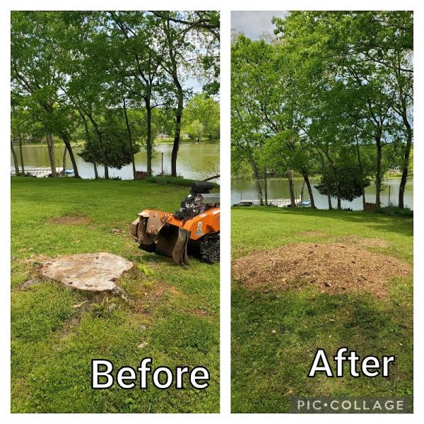 Jenkins Stump Removal