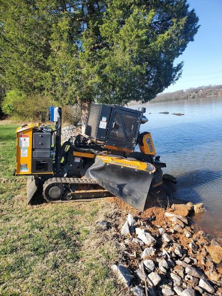 Jenkins Stump Removal